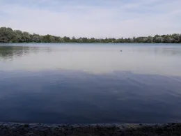 Fasaneriesee (München)
