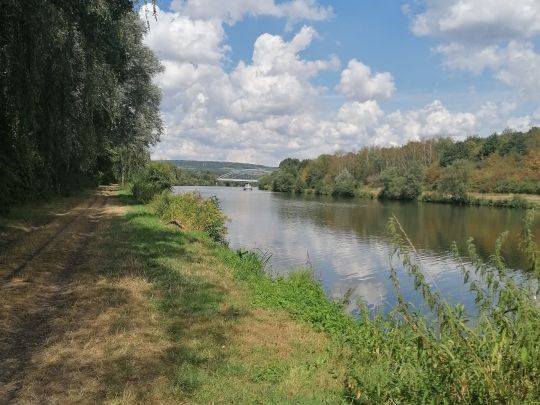 Saar (Dillingen/Saar) angeln