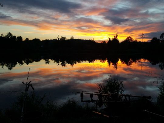 Saar (Dillingen/Saar)-4