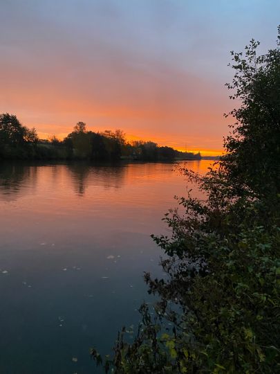Saar (Dillingen/Saar) angeln