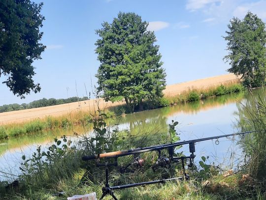 Stierlingsweiher