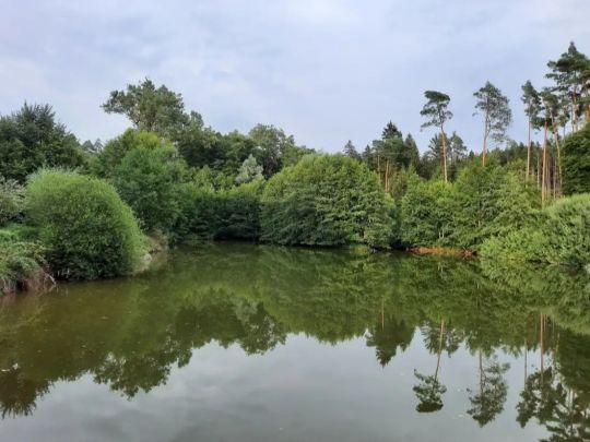 Herzhäuser Weiher-1