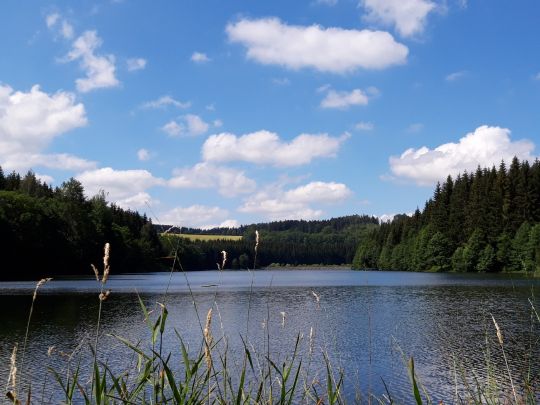 Vorsperre Dittersbach-2