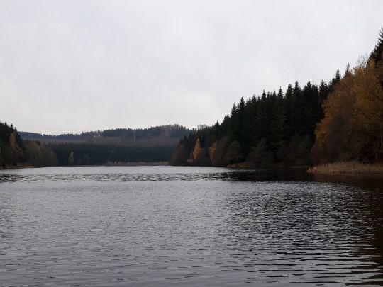 Vorsperre Dittersbach angeln