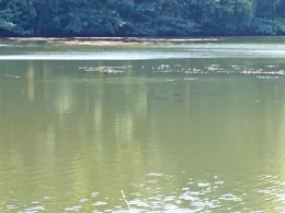 Vorsperre Dittersbach