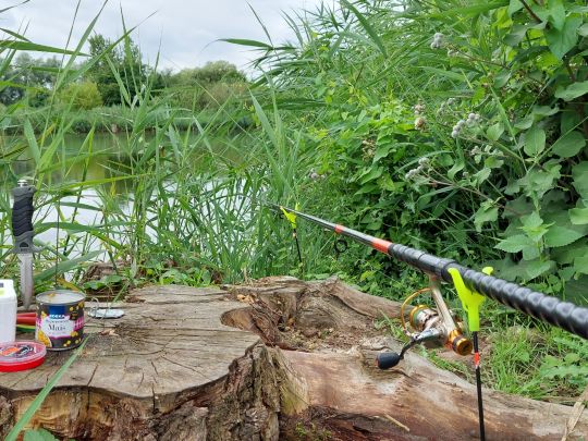 Entenfang (Langenbogen)-3