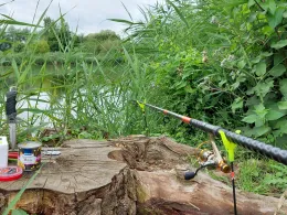 Entenfang (Langenbogen)-3