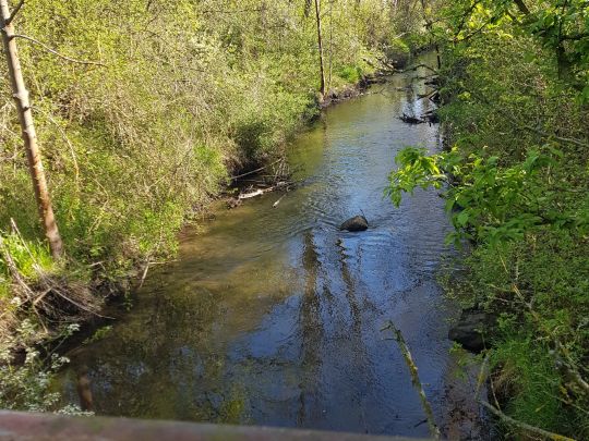 Entenfang (Langenbogen)-4