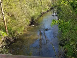 Entenfang (Langenbogen)-4