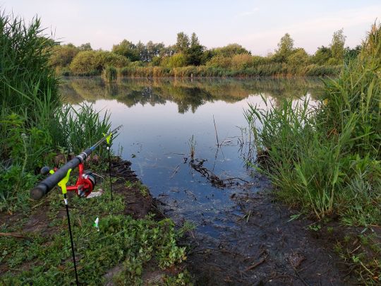 Entenfang (Langenbogen)-1