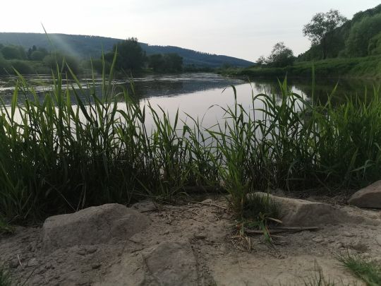 Weser (Wesertal)-1