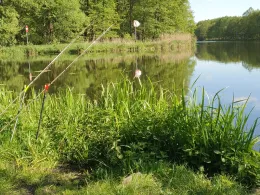 Spree (Berkenbrück)-3