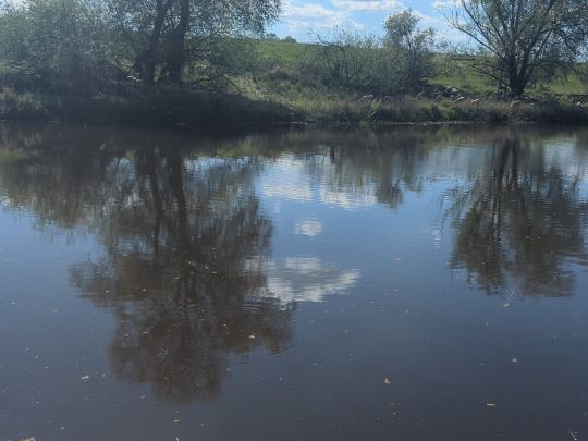 Sude (Boizenburg/Elbe)-4