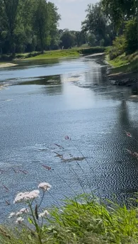 Ottacher Weiher (Arbing)-1