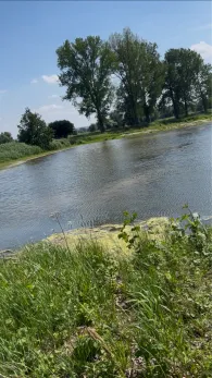 Ottacher Weiher (Arbing)