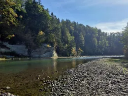 Illerschleife (Hinterbach)-1