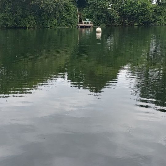 Forellensee Nordhackstedt-3