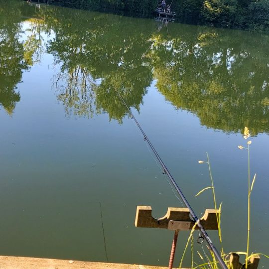 Forellensee Nordhackstedt-2