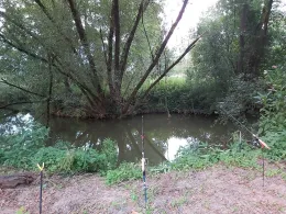 Sulzbach (Johanniskirchen)