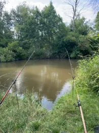 Paar (Reichertshofen)-3