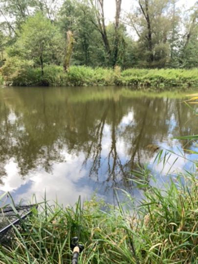 Paar (Reichertshofen)-1