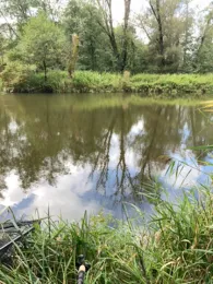 Paar (Reichertshofen)-1