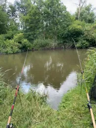 Paar (Reichertshofen)-4