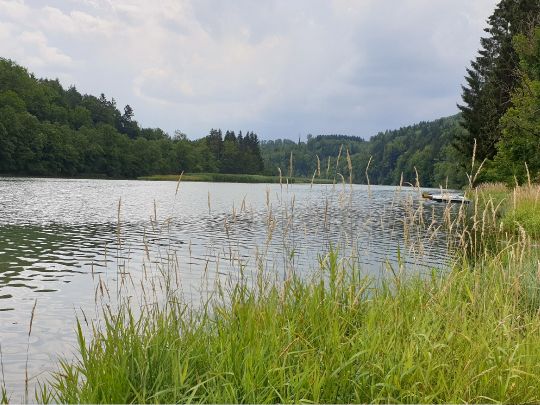 Iller (Altusried)-4