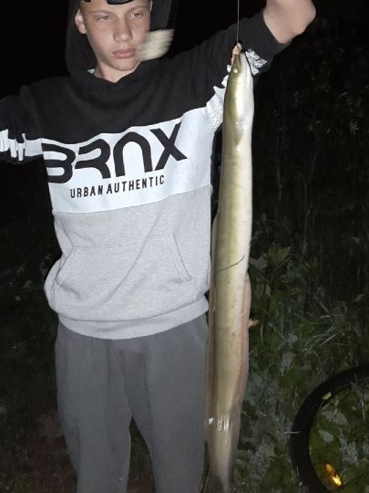 Regnitz (Erlangen)-3