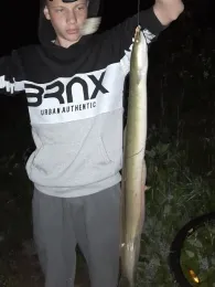 Regnitz (Erlangen)-3