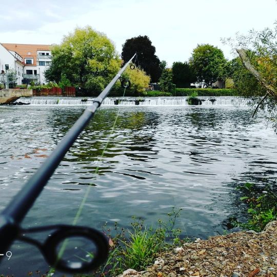 Regnitz (Erlangen)-2