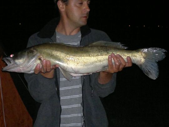 Regnitz (Erlangen)-4