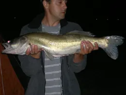 Regnitz (Erlangen)-4