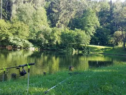 Wölmsteich (Sebnitz)-2