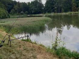 Wölmsteich (Sebnitz)-1