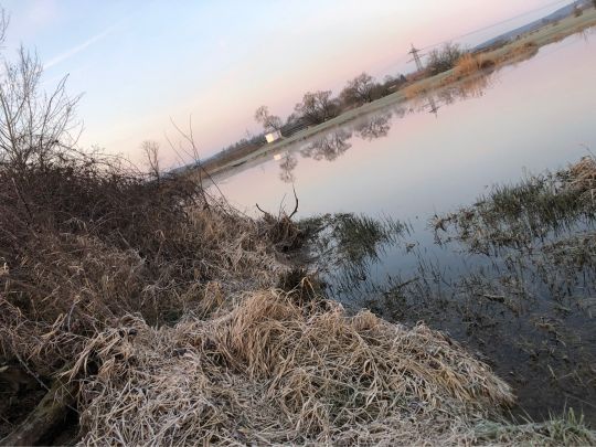 Stanglmeierseen (Cham)-2