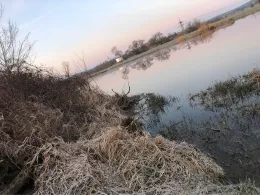 Stanglmeierseen (Cham)-2