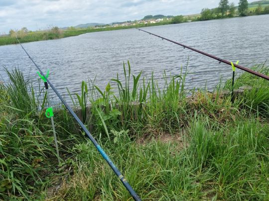 Stanglmeierseen (Cham)-3