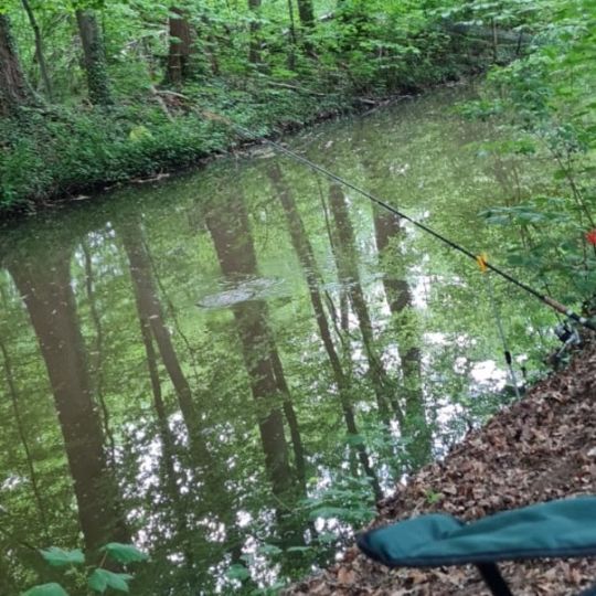 Mühlenbach (Sythen - Stockwiese)-1