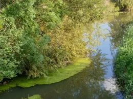 Mühlenbach (Sythen - Stockwiese)