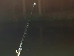 Mühlenbach (Sythen - Stockwiese)-2