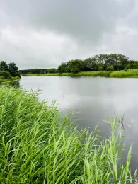 Landal Beach Texel-1