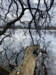 Totenkopf (Brandenburg/Havel)