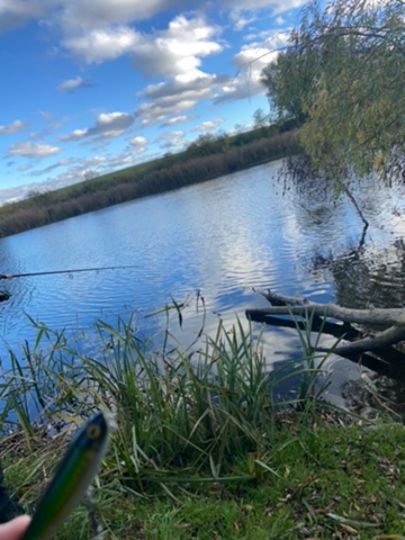 Schleisee (Neukünkendorf)