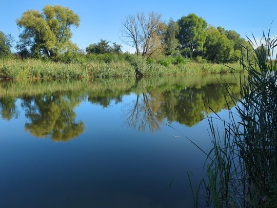 Schleisee (Neukünkendorf)-3