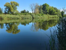 Schleisee (Neukünkendorf)-3