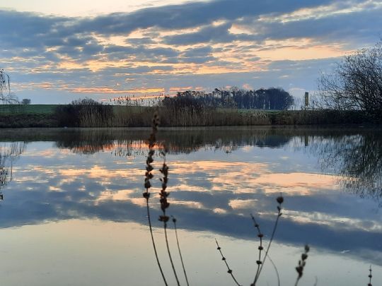 Langer Weiher (Veitsbronn)-2