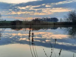 Langer Weiher (Veitsbronn)-2