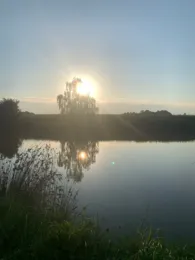 Langer Weiher (Veitsbronn)-3