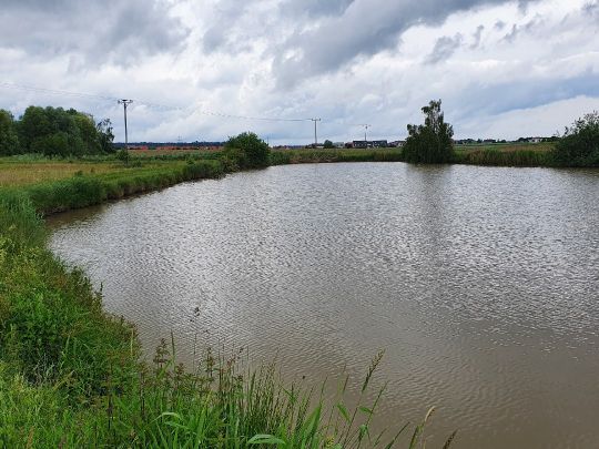 Langer Weiher (Veitsbronn)-4